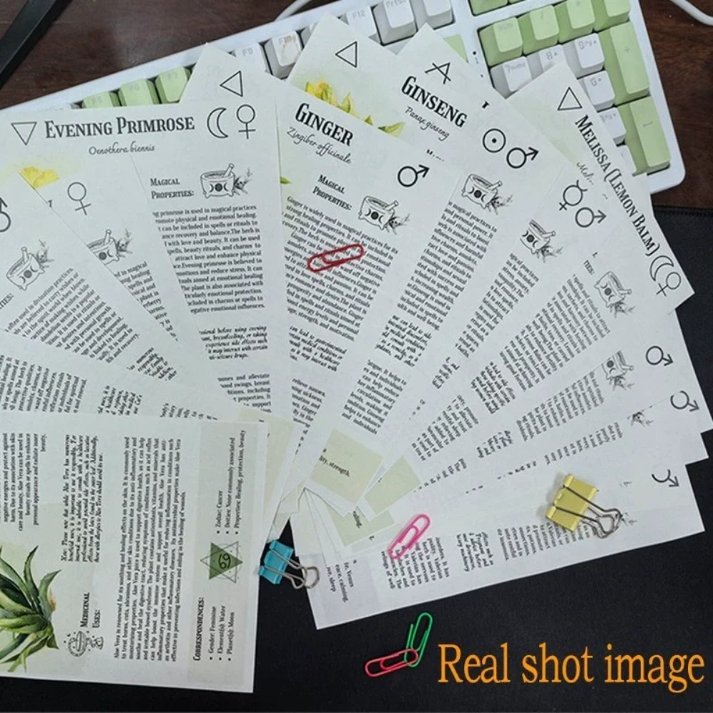 Livre de recettes de teintures - Herbal Wellness Recipes avis et prix