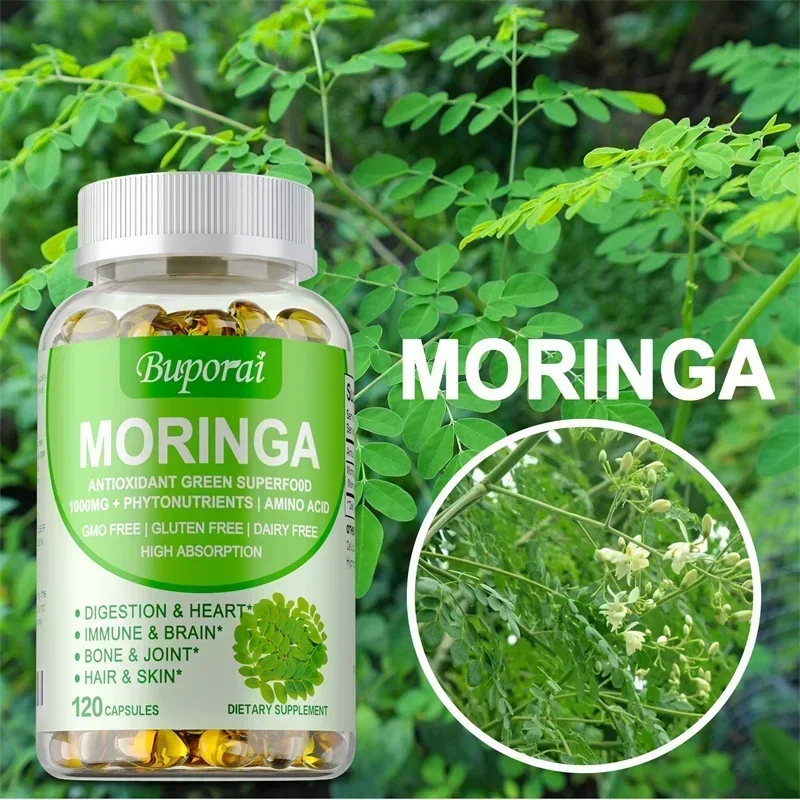 Capsules Moringa - Améliore le - Moringa Leaf Powder avis et prix